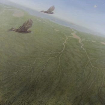 Derbarl Yerrigan Swan River Warlitje Boodja (Wedge Tailed Eagle Country)